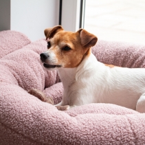 Small Bite Teddy Bear Donut Beds Rose 70cm