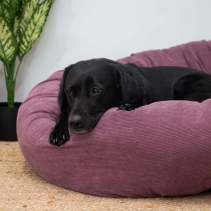 Corduroy Donut Bed (Plum) 70cm