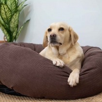 Corduroy Donut Bed (Walnut) 70cm