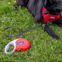 Viva Retractable 5m Lead Red M