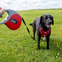 Viva Retractable 5m Lead Red L