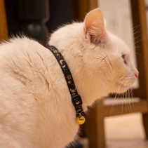 Moon & Stars Cat Collar