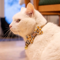 Fruit Pattern Cat Collar