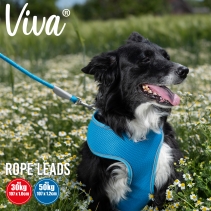 Viva Rope Lead Reflective Red 1.07mx12mm