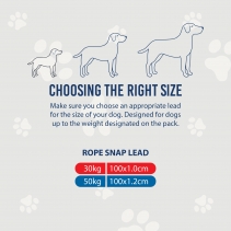 Viva Rope Lead Reflective Pink 1.07mx12mm