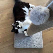 XL 2-part Teddy Fleece Scratch Post (Stone)