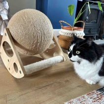 Large Globe Cat Scratcher