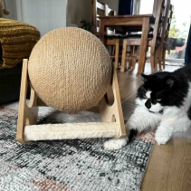 Large Globe Cat Scratcher