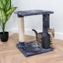 2 Pillar Grooming & Scratch Post