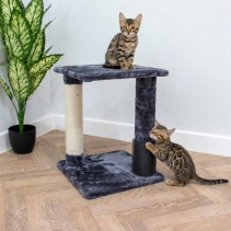 2 Pillar Grooming & Scratch Post