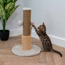 Pompom & Mouse Scratch Post
