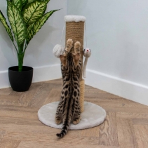 Pompom & Mouse Scratch Post