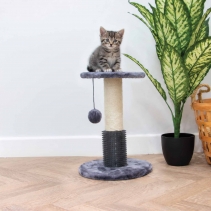 Grooming Scratch Post