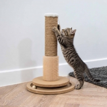 Enrichment & Grooming Scratch Post