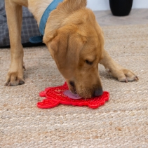Orva Lobster Lick Mat