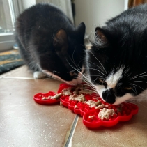 Orva Lobster Lick Mat