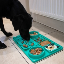 Orva Suction Cup Slow Feeding Station