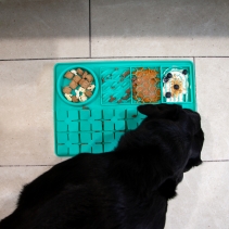 Orva Suction Cup Slow Feeding Station