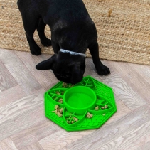 Orva Suction Cup Slow Feeder (Leaf Design)