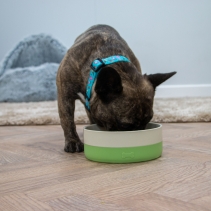 Ceramic Bowl With Non-Slip Silicone Base 1800ml