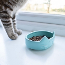 Raised Cat Ear Dish (Pastel - Mixed Pack)