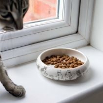 Curved Edge Cat Dish (Patterned)