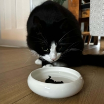Curved Edge Cat Dish