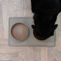 Oatmeal Feeding Mat