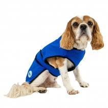 Dog Cooling Coat XS