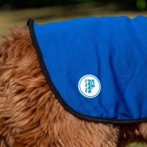 Dog Cooling Coat S