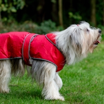 Stormguard Dog Coat Red XS