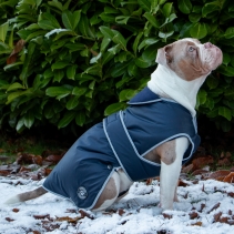 Stormguard Dog Coat Navy S
