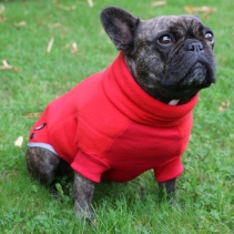 Polar Fleece Red L