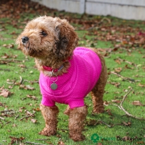 Pink Cable Knit Jumper M