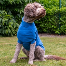 Polar Fleece Blue M