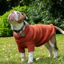 Terracotta Cable Knit Jumper S