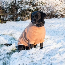 Snug Fit Polar Fleece Camel S