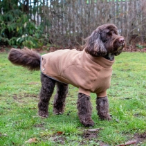 Snug Fit Polar Fleece Camel S