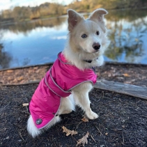 Stormguard Dog Coat Pink XS