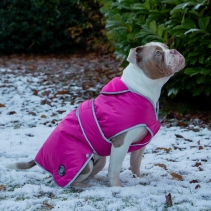 Stormguard Dog Coat Pink M
