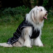 Stormguard Dog Coat Black S