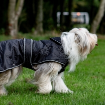 Stormguard Dog Coat Black S
