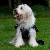 Stormguard Dog Coat Black L