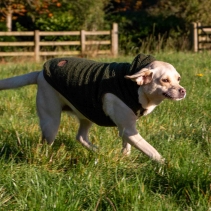 Teddy Sherpa Fleece Green XS
