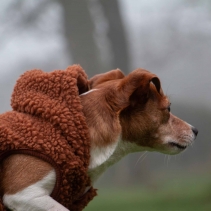 Teddy Sherpa Fleece Terracotta XS