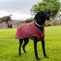 Heritage Red Tartan S/M
