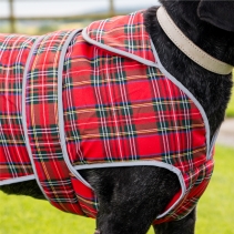Heritage Red Tartan S/M