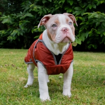 Heritage Terracotta Quilted Coat XL