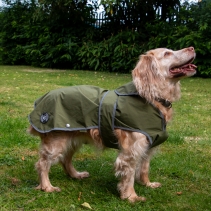 Stormguard Soft Shell Khaki S