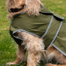 Stormguard Soft Shell Khaki S